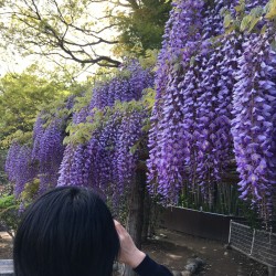 Tsuyu講師