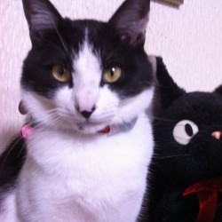 Chihiro講師